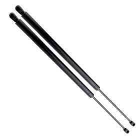 Th05361101s The-one-fp 2x Hatch Liftgate Lift Supports Gas Struts Spring For 1999-2002 Honda Odyssey