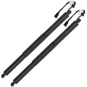 Th84400001s The-one-fp 2 Pcs For Bmw X2 F39 2018-2020 Lh/rh Lift Supports Gas Struts Shocks Springs