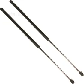 Tyd-5b-967989 Tingyingda 12.13 In 2pcs Hood Lift Support Struts Gas Spring Shocks Rod Compatible Black Tyd-5b-967989 Tingyingda 12.13 In 2pcs Hood Lift Support Struts Gas Spring Shocks Rod Compatible Black