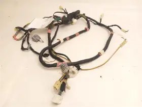170-60675e Toyota Tailgate Wire Harness Fits Sienna 2004 - 2010 Oem