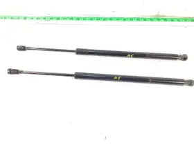 68950-08021 Toyota 68950-08022 2011 - 2014 Sienna Liftgate Support Cylinder Strut Pair Oem 68950-08021 Toyota 68950-08022 2011 - 2014 Sienna Liftgate Support Cylinder Strut Pair Oem