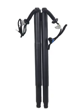 A24051600ux0150 X Autohaux Rear Lh Rh Tailgate Power Lift Support For Bmw X6 F16 F86 14-19 No.51247434043