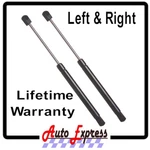 New Rear Hatch Lift Support Struts Prop Focus 2000-02. Price: $41.95.