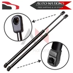 2QTY Liftgate Tailgate Hatch Supports Struts Gas Springs For Honda Odyssey New. Price: $31.39.