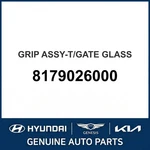 2000-2006 Hyundai Santa Fe Grip Assembly-t/gate Glass Oem New 8179026000. Price: $58.96.