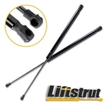 For 2010-2015 Lexus RX350 RX450H 2X Front Hood Lift Supports Struts Shocks New. Price: $18.17.