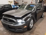 Tailgate / Trunk Decklid For Mustang Assy Gry Used. Price: $249.99.