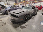 Trunk/hatch/tailgate Moulded In Black With Logo Fits 17-23 Challenger 1283787 Used. Price: $410.50.