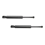 For Mercedes-benz ML500 2002-2005 Lift Supports Driver And Passenger Side Pair New. Price: $38.06.