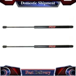 Ford Mustang 1979 1980 1983 1986 1988 1989 1990 1993 Fcs Hatch Lift Support New. Price: $45.74.