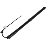 Lift Support Shock Strut For Lexus Rx 201X Lh (vin Starts With J, Jtjb) New. Price: $49.95.
