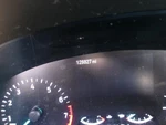 Trunk/hatch/tailgate Green Tint Glass Fits 20-22 Escape 2154896 Used. Price: $865.64.