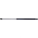 Liftgate Support Strong Arm D6787 Fits 12-19 Chevrolet Sonic New. Price: $21.06.