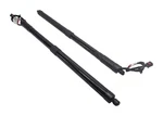12-19 Range Rover Evoque (L538) Rear Electric Assist Trunk Shock Strut SET-2 Used. Price: $149.99.