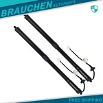 Lift Supports Strut Shock Gas Spring 2PCS For 14-19 Nissan Rogue/x-trail Lh/rh New. Price: $144.09.