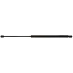 Liftgate Support Strong Arm 6235 New. Price: $29.78.