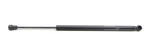 New Oem Ford Trunk Lid Lift Support Strut BM5Z-54406A10-A Focus 2012-2018. Price: $42.95.
