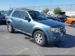 Rear Blu W/cam Decklid Oem 10-12 Ford Escape Used. Price: $136.00.