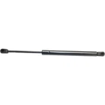 For Acura Tl Hood Lift Support 2004 2005 Driver Passenger Side Front New. Price: $28.56.