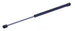 Trunk Lid Lift SUPPORT-2 Door, Convertible 614325 Fits 1996 Chrysler Sebring New. Price: $47.99.