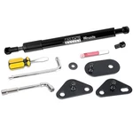 Winunite Compatible With 2015-2026 F150 Tailgate Assist Stainless Black New. Price: $38.71.