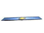 18-19 Chevrolet Traverse Liftgate License Plate Light Molding Chrome With Camera Used. Price: $78.00.