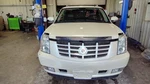 Trunk/hatch/tailgate Midgate Fits 07-13 Avalanche 1500 1149981 Used. Price: $375.00.