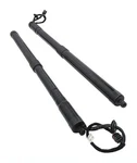 12-19 Range Rover Evoque (L538) Rear Electric Assist Trunk Shock Strut SET-2 Used. Price: $149.99.