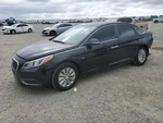 Blk Decklid Tailgate Oem 16-17 Hyundai Sonata Used. Price: $100.00.