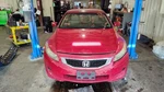 Trunk/hatch/tailgate Coupe Without Spoiler Fits 08-12 Accord 1113834 Used. Price: $460.00.