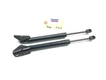 2014-2019 Corvette C7 Left Right Rear Liftgate Hatch Strut Cylinder X2 Oem. Used. Price: $34.99.