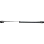 For Buick Century/regal Lift Support 1997 1998 1999 Driver Passenger Side New. Price: $29.28.