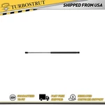 1 Hatch Lift Support For 2007-2009 Jaguar Xkr 4.2L New. Price: $37.06.