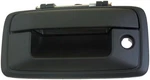 Tailgate Handle Dorman 82539 New. Price: $63.34.