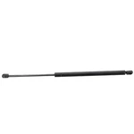 Oem New Ford Explorer 1991-2003 Liftgate Support Cylinder F4TZ-78406A10-A. Price: $62.89.