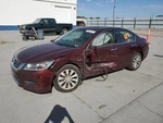 Red Decklid Tailgate Oem 13-15 Honda Accord Used. Price: $200.00.