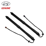 Oem Genuine Hyundai Santa Fe Sport 2015-2018 Tailgate Lift Support 817702W600 New. Price: $129.88.