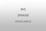 Standard Ignition DLA1504 Power Liftgate Actuator New. Price: $209.26.