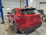 2018 Lexus NX300 Used Liftgate With Rear Camera & Privacy Tint Glass. Price: $2071.24.