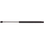 Strong Arm 4559 Liftgate Support 99-03 Ford Windstar New. Price: $39.35.