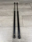 Rear Hatch Shocks Struts For 2002-2009 Chevy Trailblazer Gmc Envoy Used. Price: $18.00.