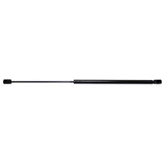 Liftgate Support Strong Arm 4750 Fits 88-93 Pontiac Lemans New. Price: $23.84.