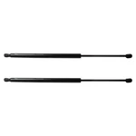 For Volkswagen Atlas 18 Trq Driver & Passenger Side Liftgate Support Set New. Price: $65.59.