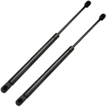 2PC Rear Lift Supports Struts For Specialty C16-06874B 17.20" New. Price: $18.58.
