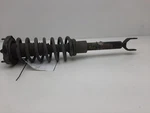 2007-2009 Mercedes E350 Shock Absorber Used. Price: $135.99.