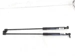2022-2024 Honda Civic Driver $ Passenger Trunk Lift Support Strut 74820-T47-305 Used. Price: $53.20.