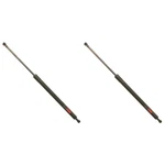 SET-TRWTSG229037-2 Liftgate Supports Of Driver & Passenger Pair New. Price: $61.48.