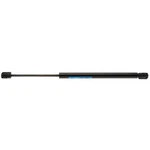 Strong Arm Supports 4196 Liftgate New. Price: $46.12.