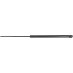 Strong Arm 4219 Back Glass Lift Support For 92-00 Chevrolet Gmc Astro Safari New. Price: $35.71.