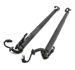 2016-2017 Bmw X1 F48 Rear Left & Right Trunk Tailgate Hatch Shock Strut SET/2 Used. Price: $132.99.
